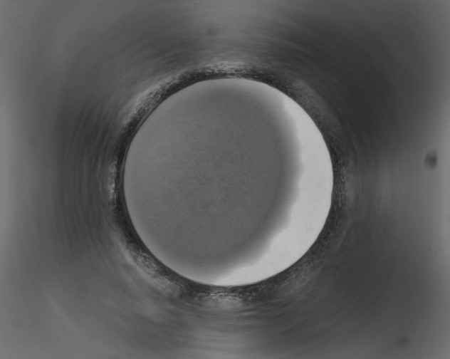 X0000115660640200912241359