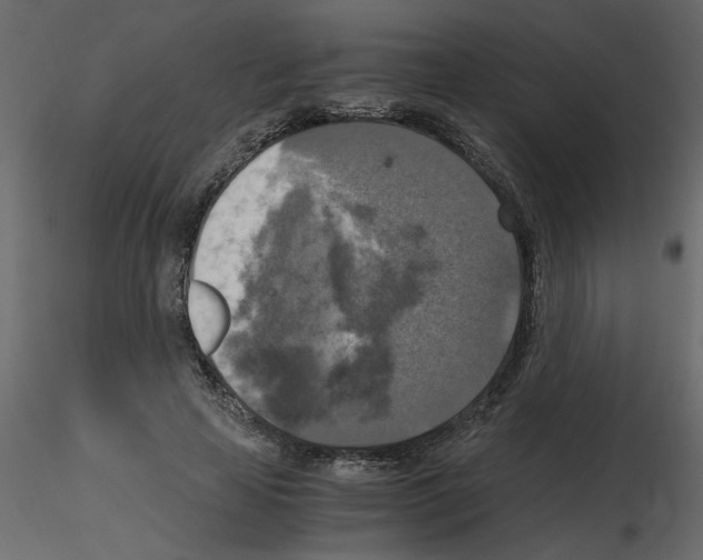 X0000115660641200912241359