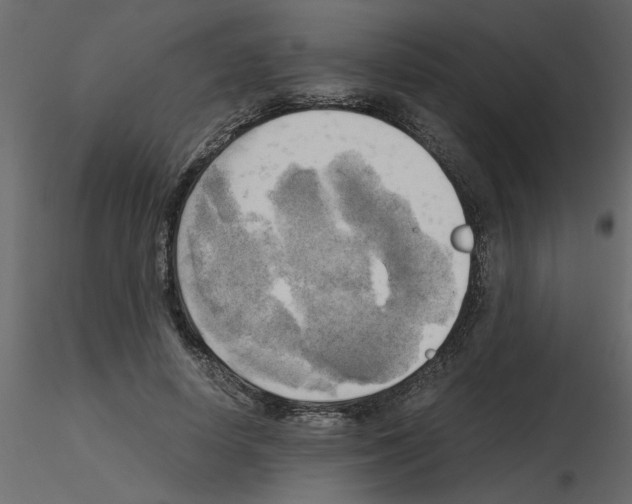 X0000115660642200912241359