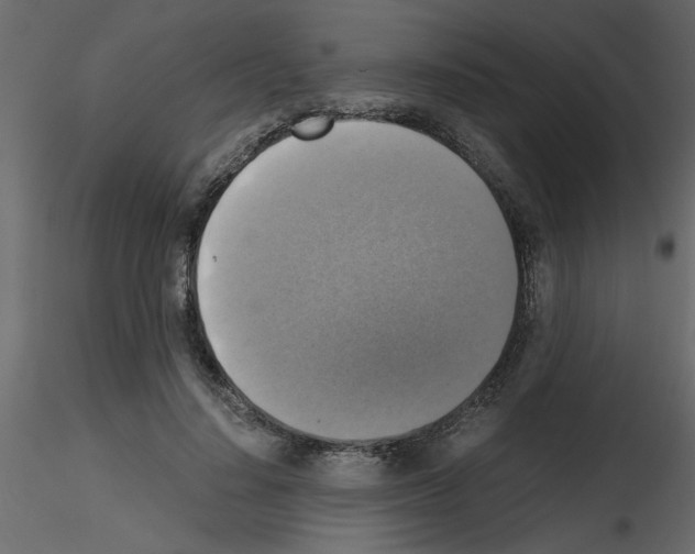 X0000115660644200912241359