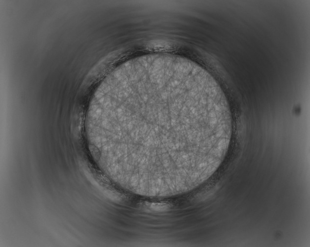 X0000115660645200912241359