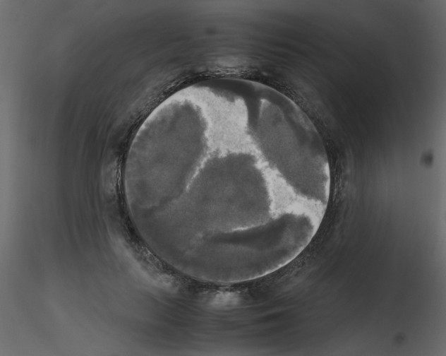 X0000115660647200912241400