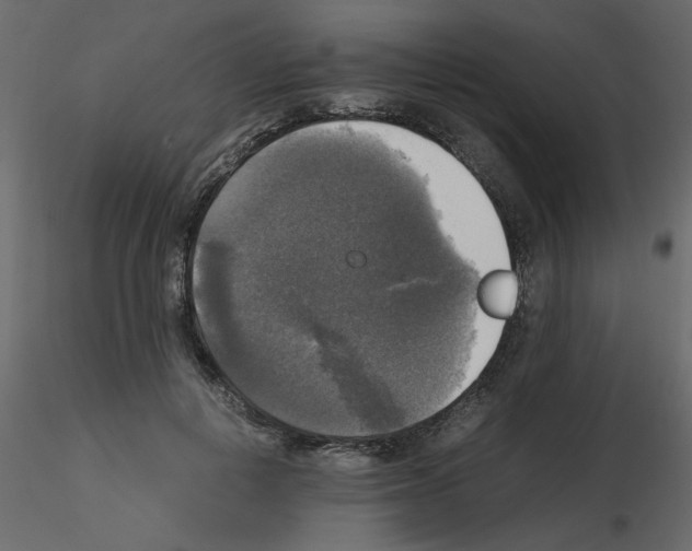 X0000115660648200912241400