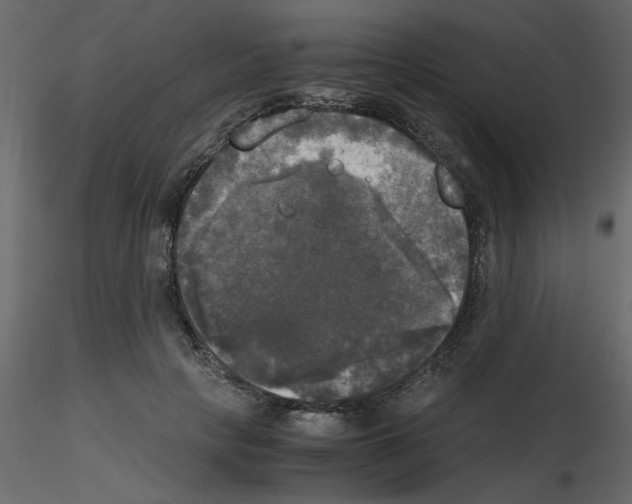 X0000115660649200912241400