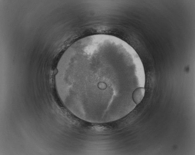 X0000115660650200912241400