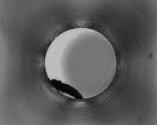 X0000115660651200912241400