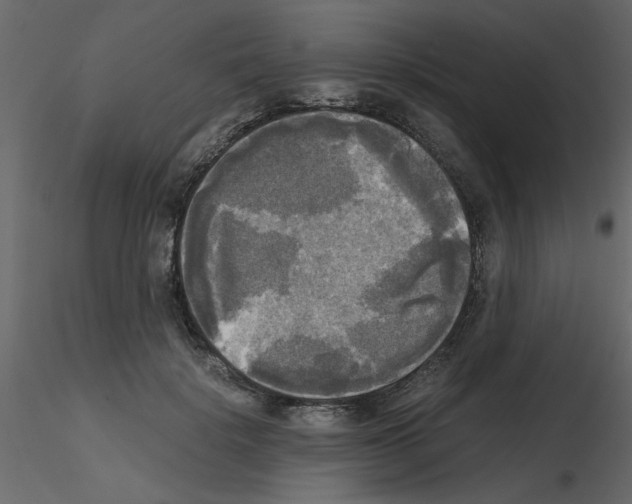 X0000115660652200912241400