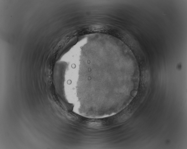 X0000115660653200912241400