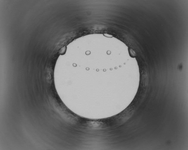 X0000115660654200912241400