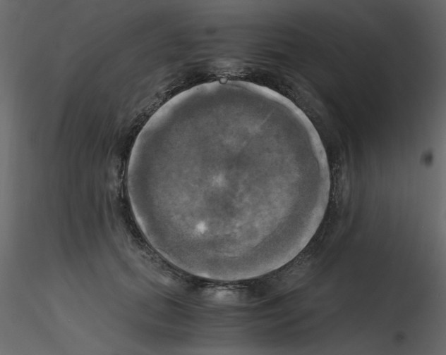 X0000115660655200912241400