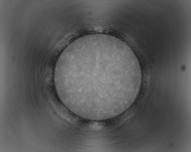 X0000115660656200912241400