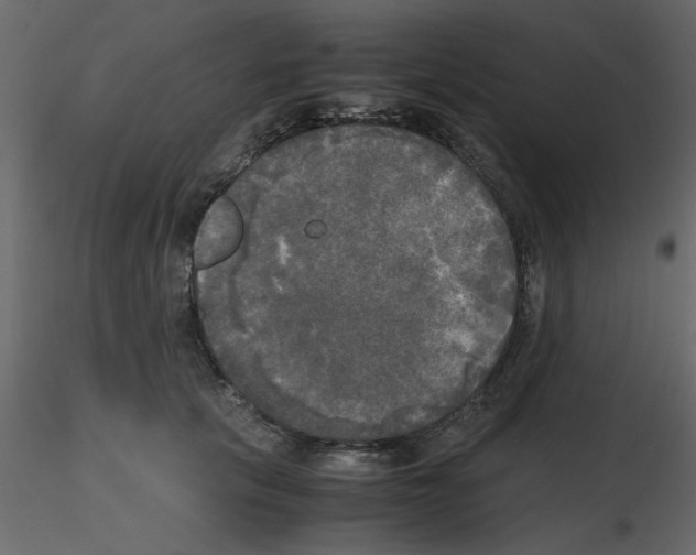 X0000115660657200912241400