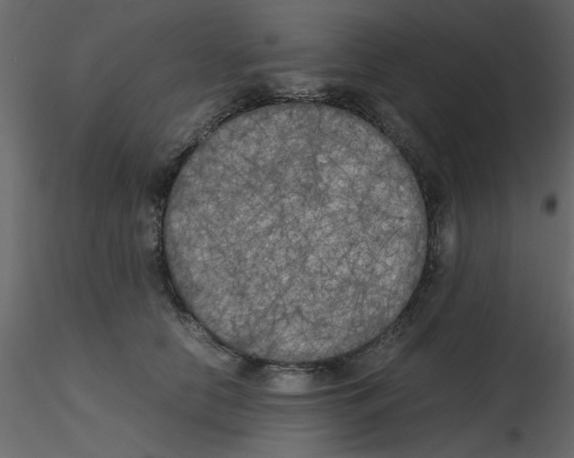 X0000115660658200912241400