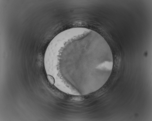 X0000115660659200912241400