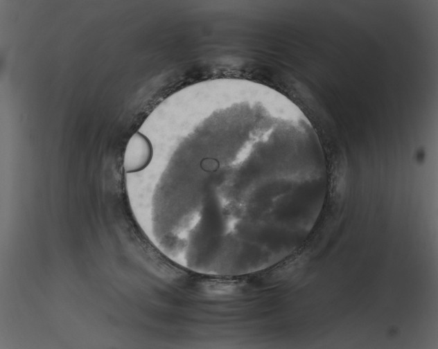 X0000115660661200912241400