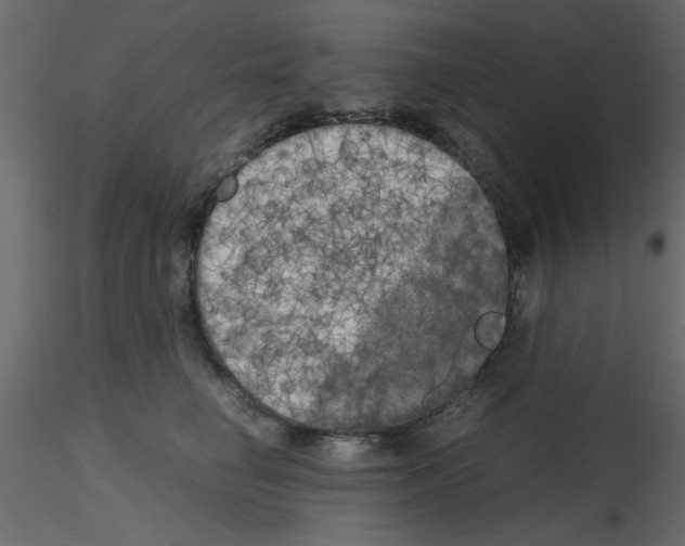 X0000115660662200912241400