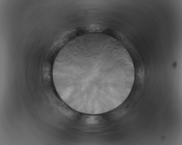 X0000115660663200912241400