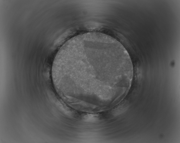 X0000115660664200912241400