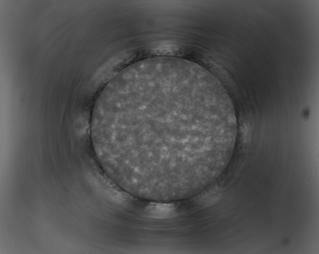 X0000115660665200912241400