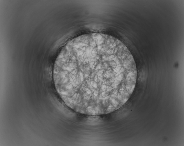 X0000115660666200912241400