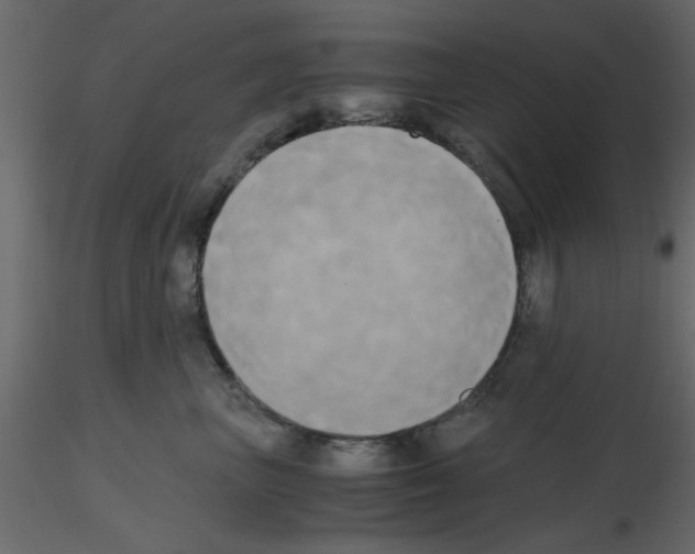 X0000115660667200912241400