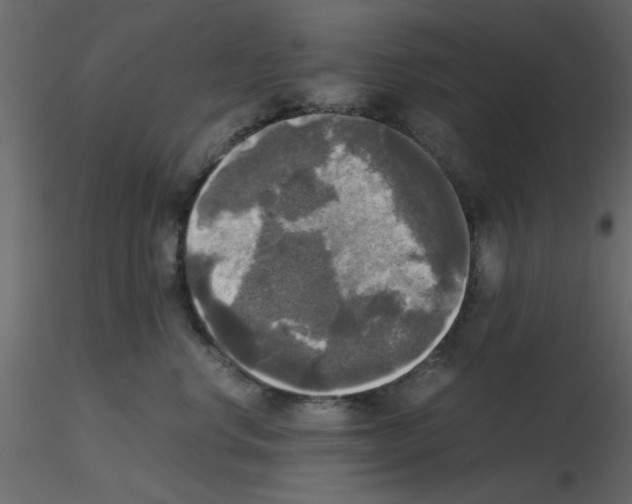 X0000115660668200912241400