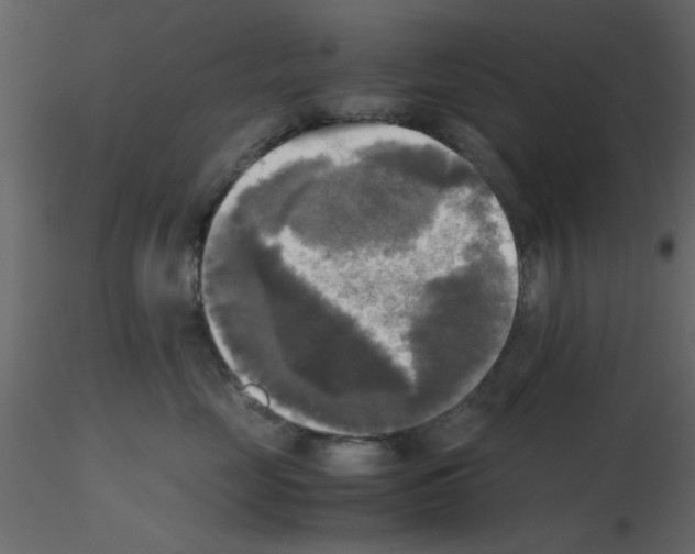 X0000115660669200912241400