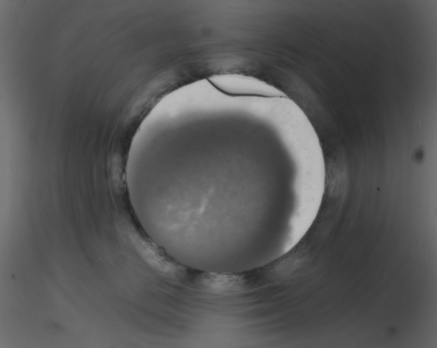 X0000115660670200912241400