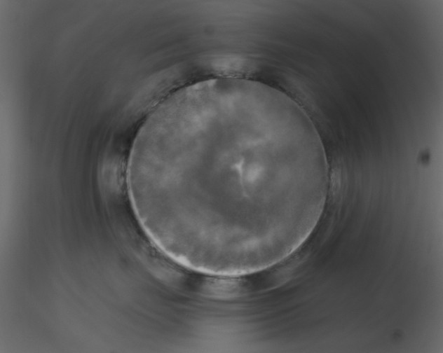 X0000115660671200912241400