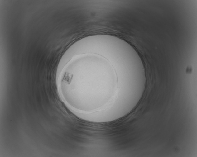 X0000115660672200912241400