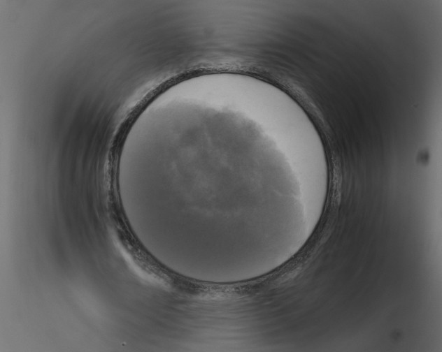 X0000115660674200912241359