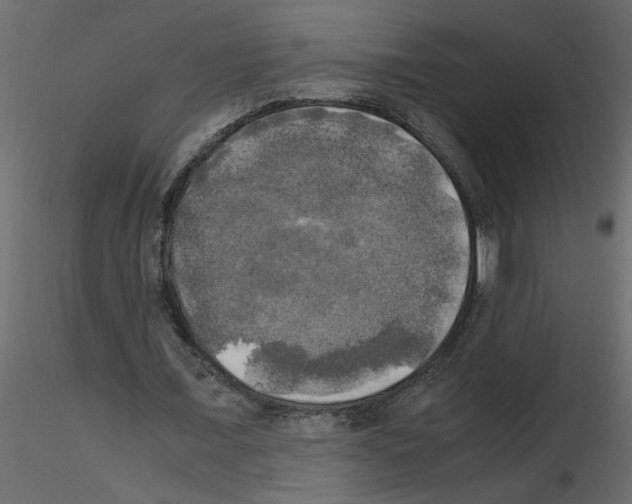 X0000115660675200912241359