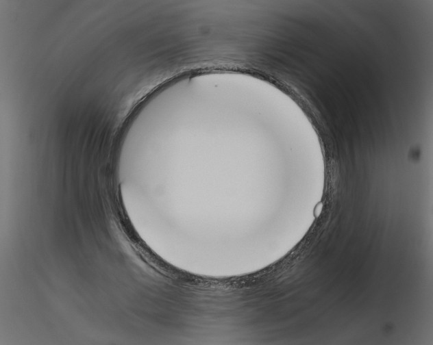 X0000115660677200912241359