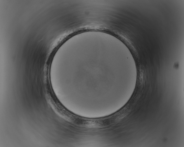 X0000115660678200912241359