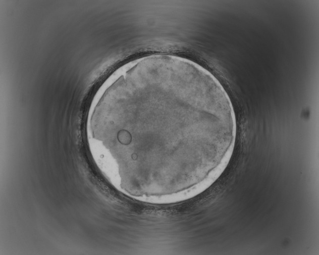 X0000115660679200912241359