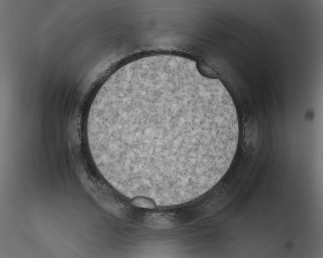 X0000115660680200912241359