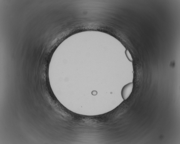 X0000115660681200912241359