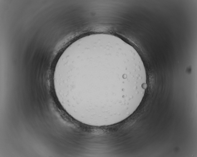 X0000115660682200912241359