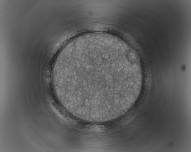 X0000115660683200912241359