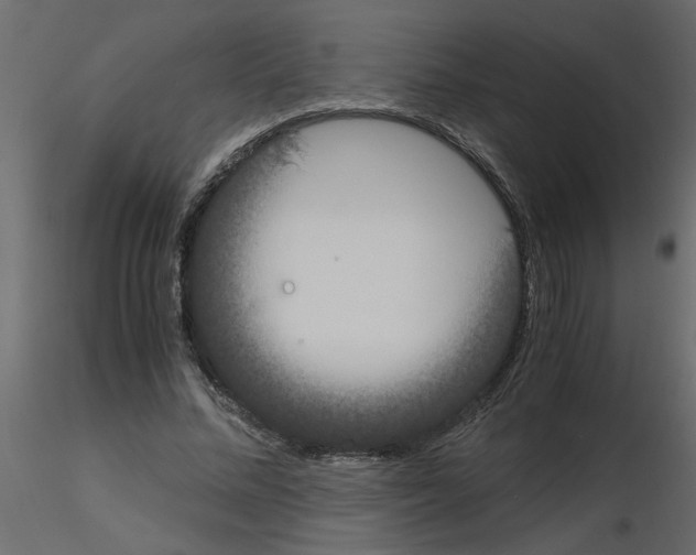 X0000115660684200912241359