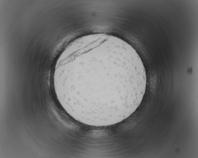 X0000115660686200912241359