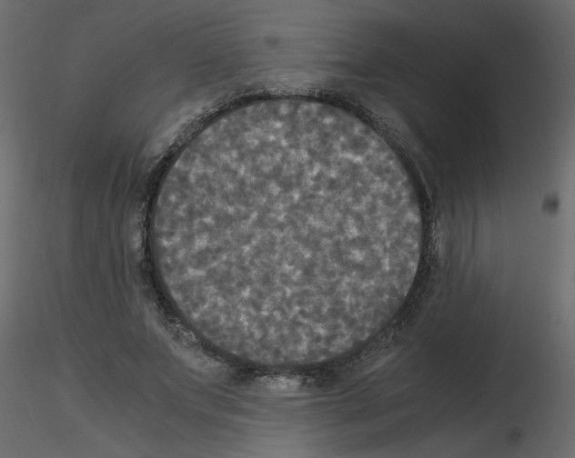 X0000115660687200912241359