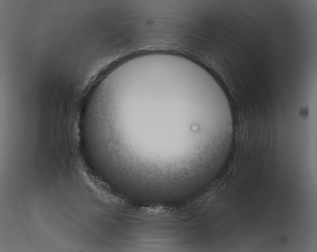 X0000115660688200912241359