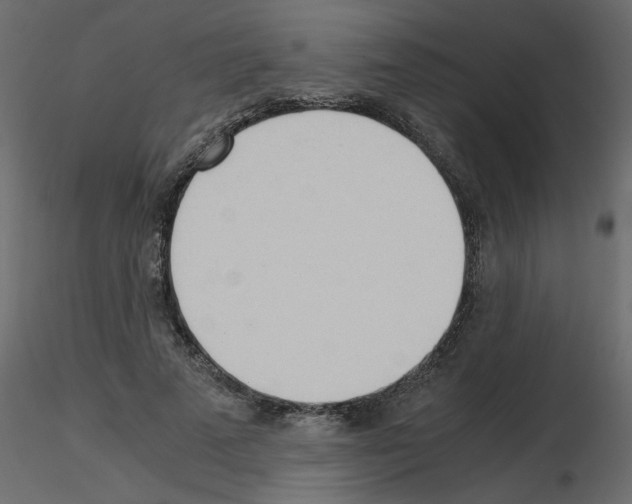 X0000115660689200912241359