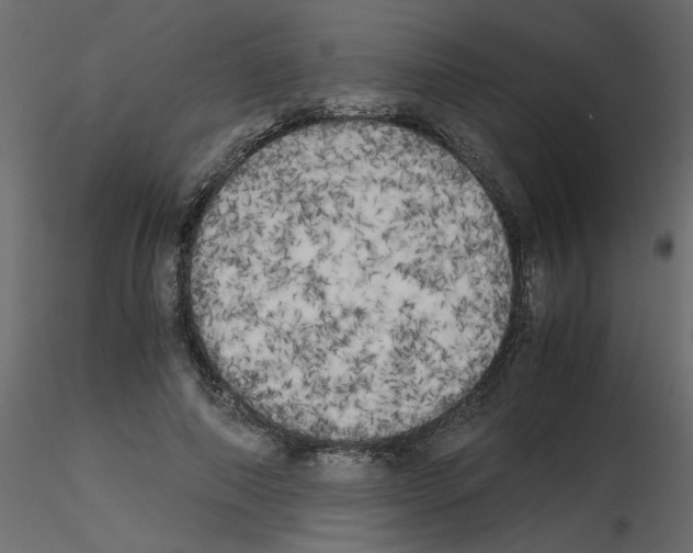 X0000115660690200912241359