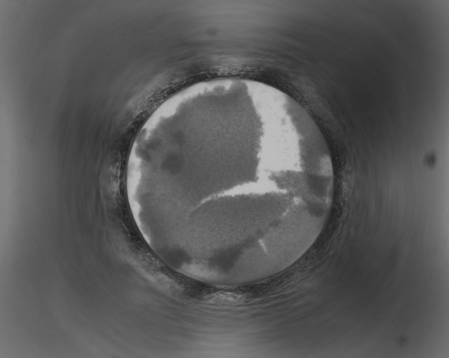 X0000115660691200912241359