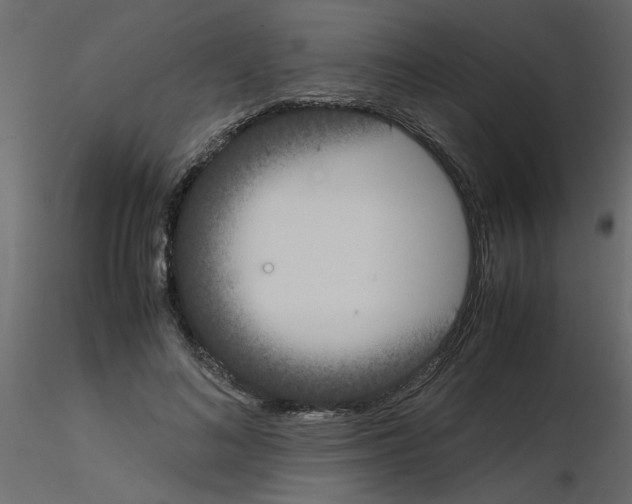 X0000115660692200912241359