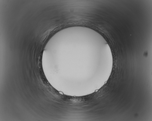 X0000115660693200912241359