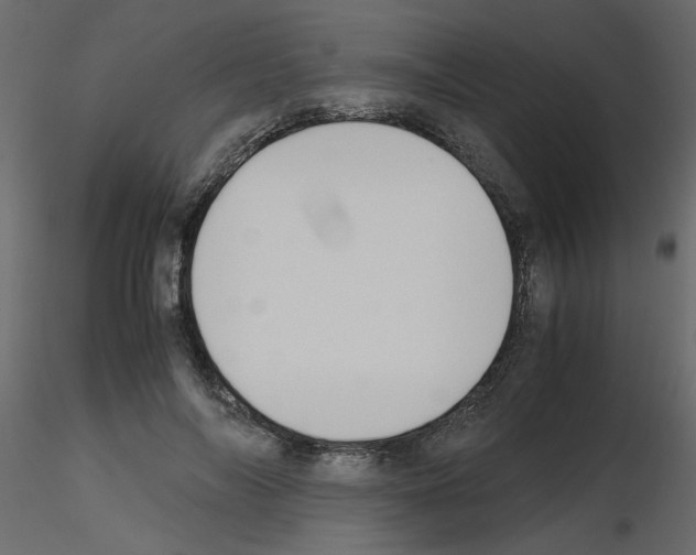 X0000115660694200912241359