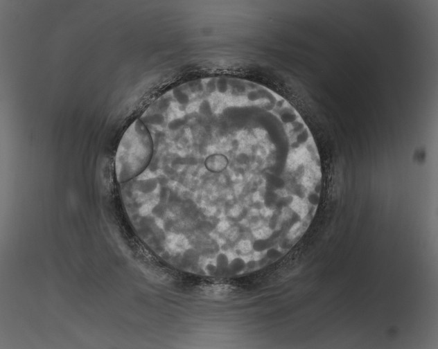 X0000115660695200912241359